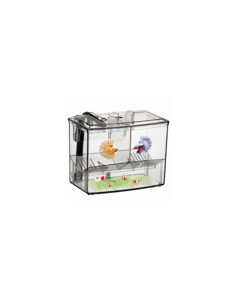 Breeding Box  Externe 1.25L